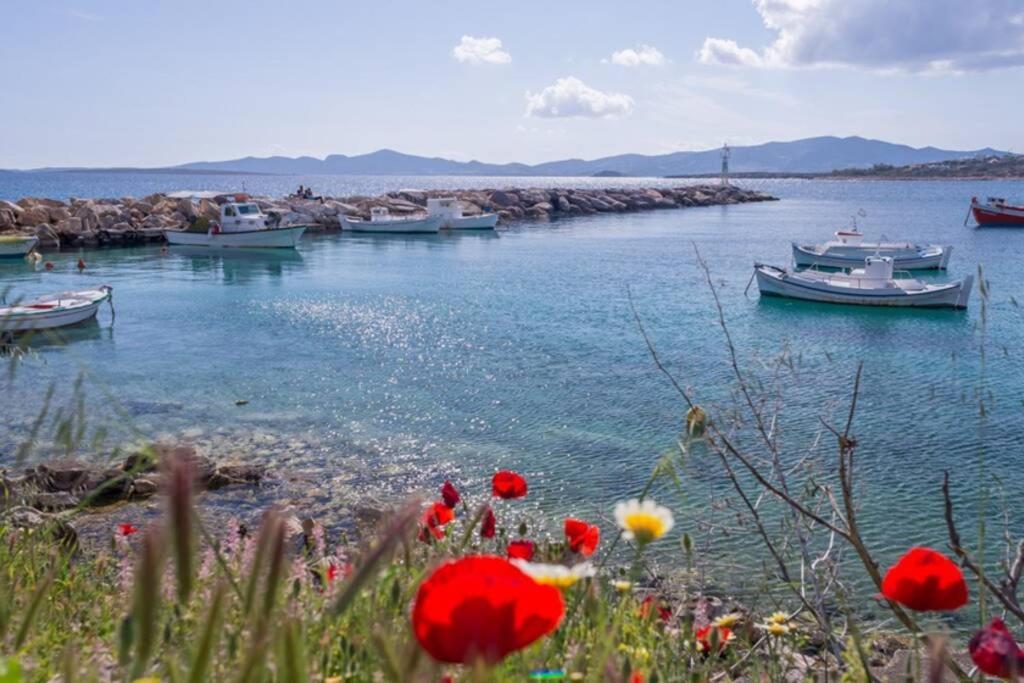Exohiko Villa Alikí Buitenkant foto